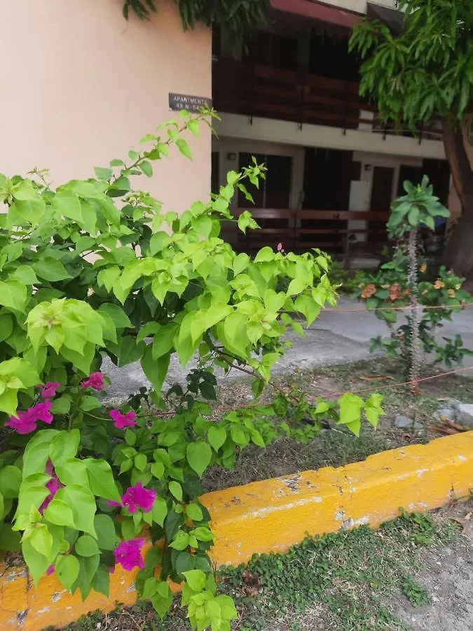 The Mango Lodge Kingston Jamaica